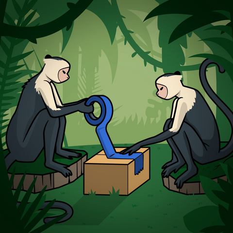 Shipping